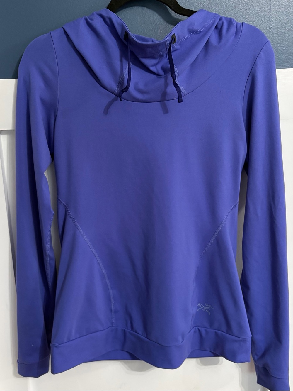 Arc'teryx Women's Varana Sweatshirt Vibrant Purple Size Small